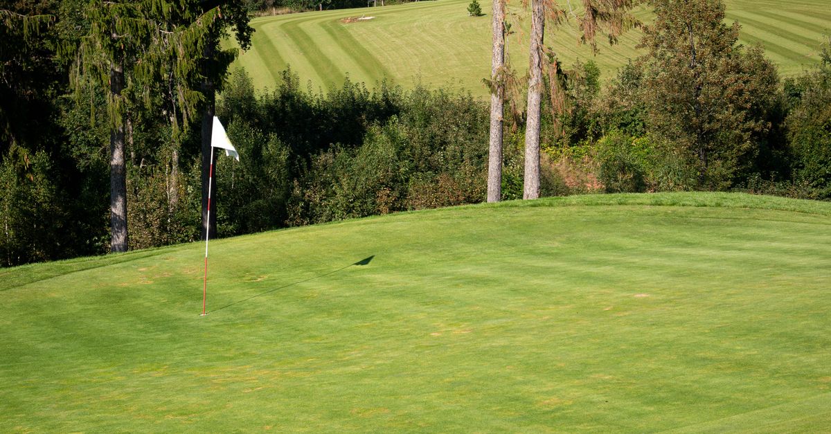 Golf course green with flagstick