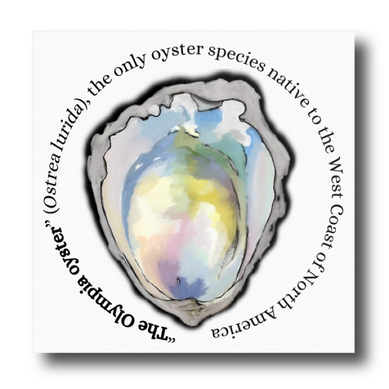 Watercolor Olympia oyster ringed by text about the only oyster native to the West Coast