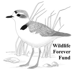 Wildlife Forever Fund